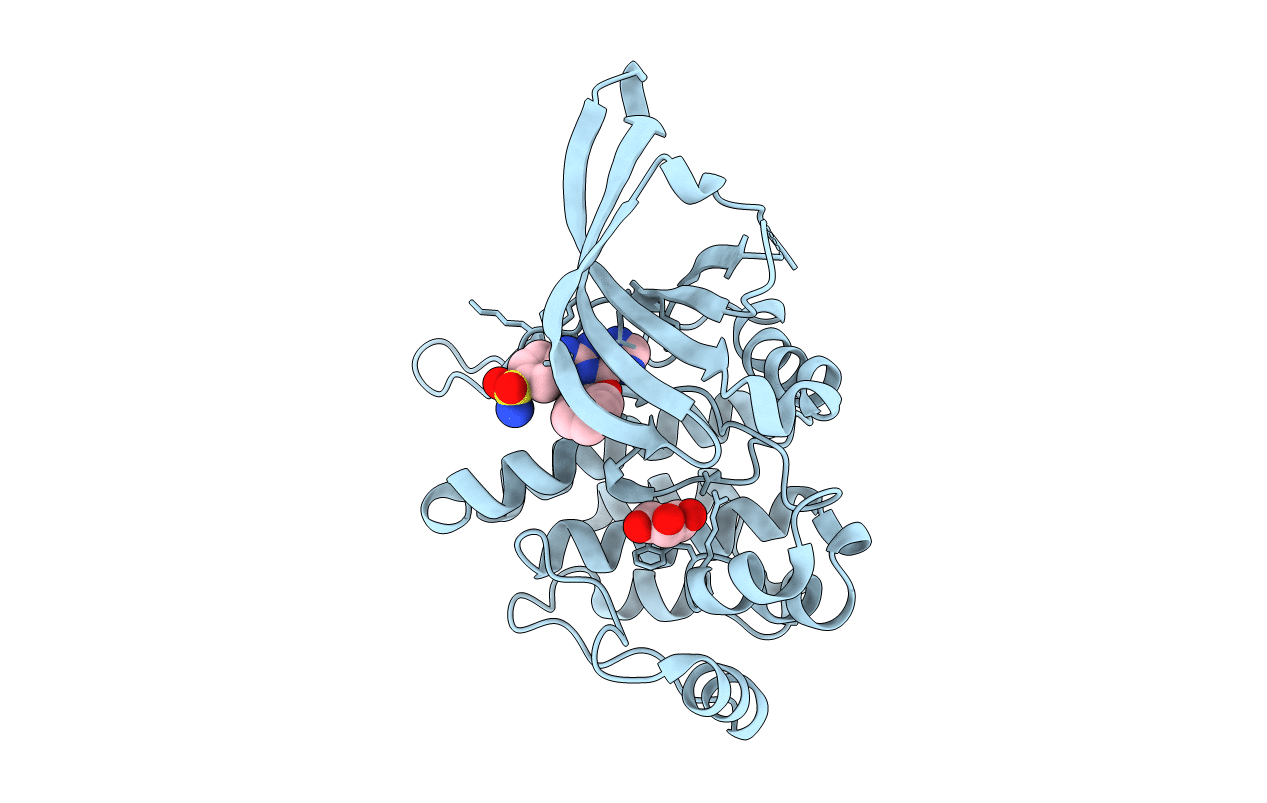 6BSS image