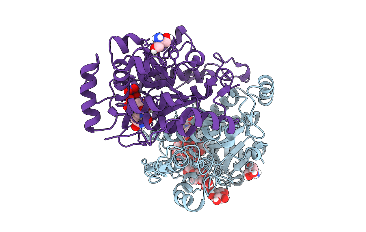 6BSW image