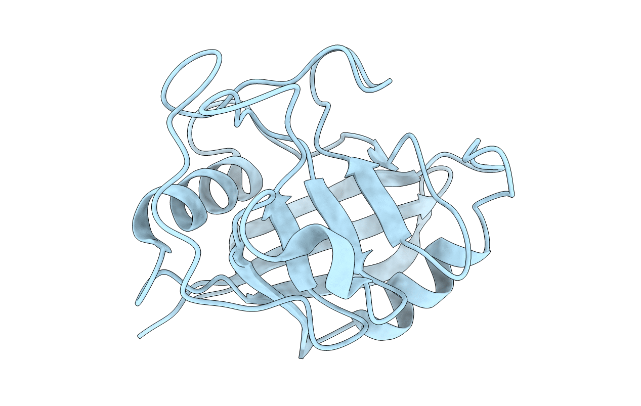 6BTA image