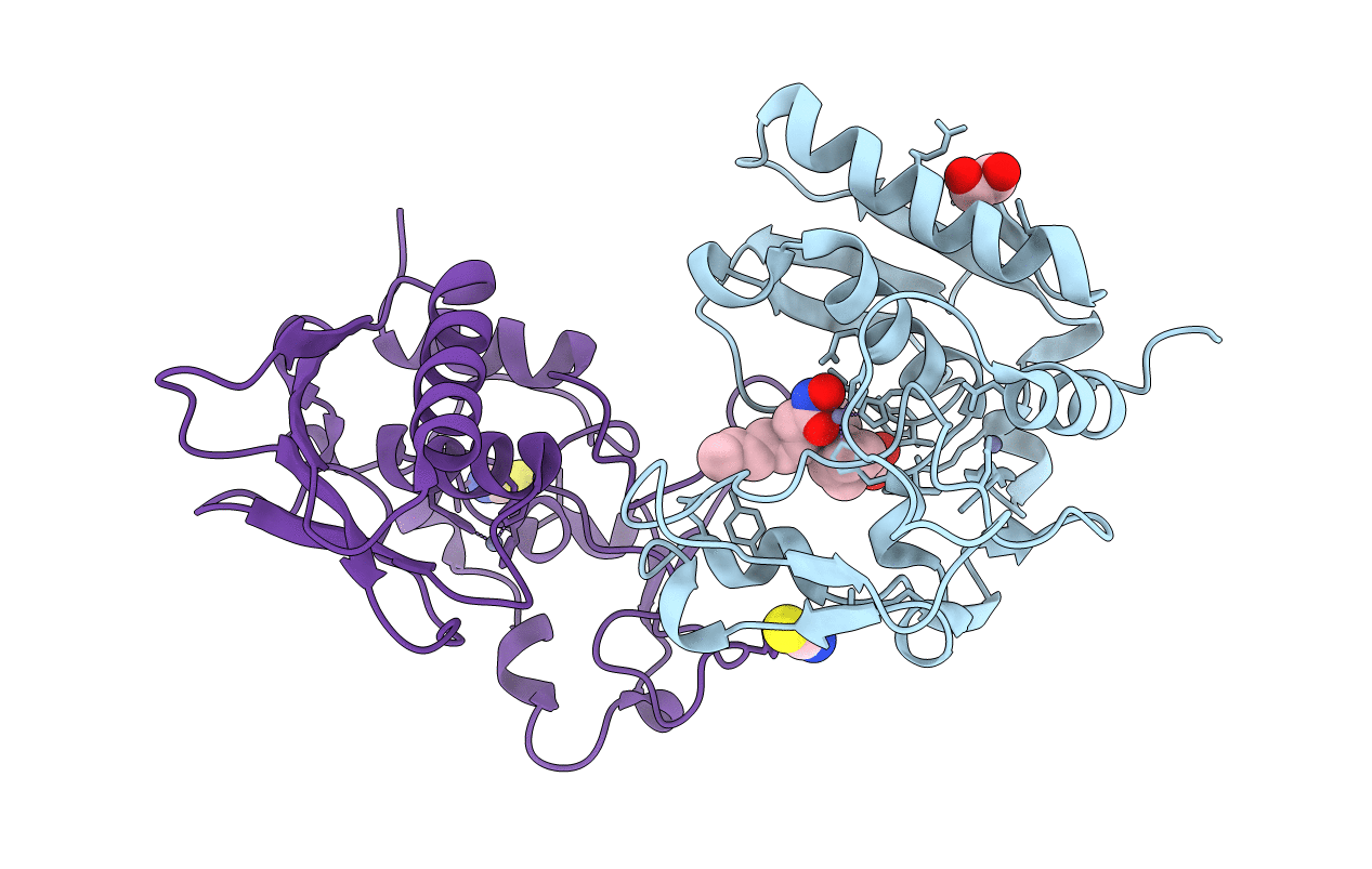 6BTO image