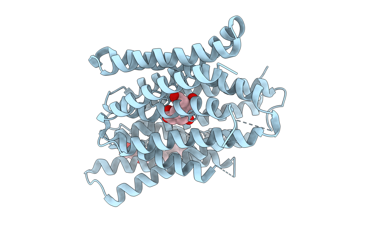 6BTX image