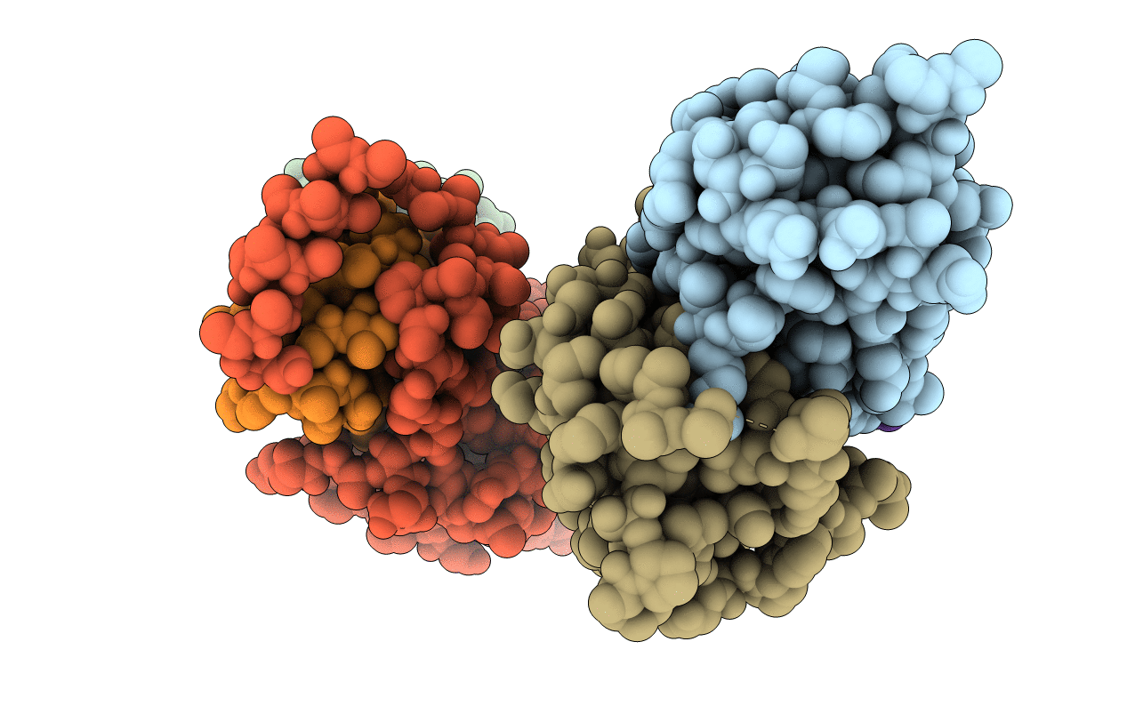 6BVA image