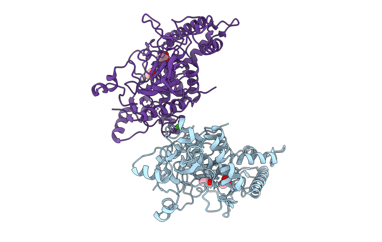 6BVD image