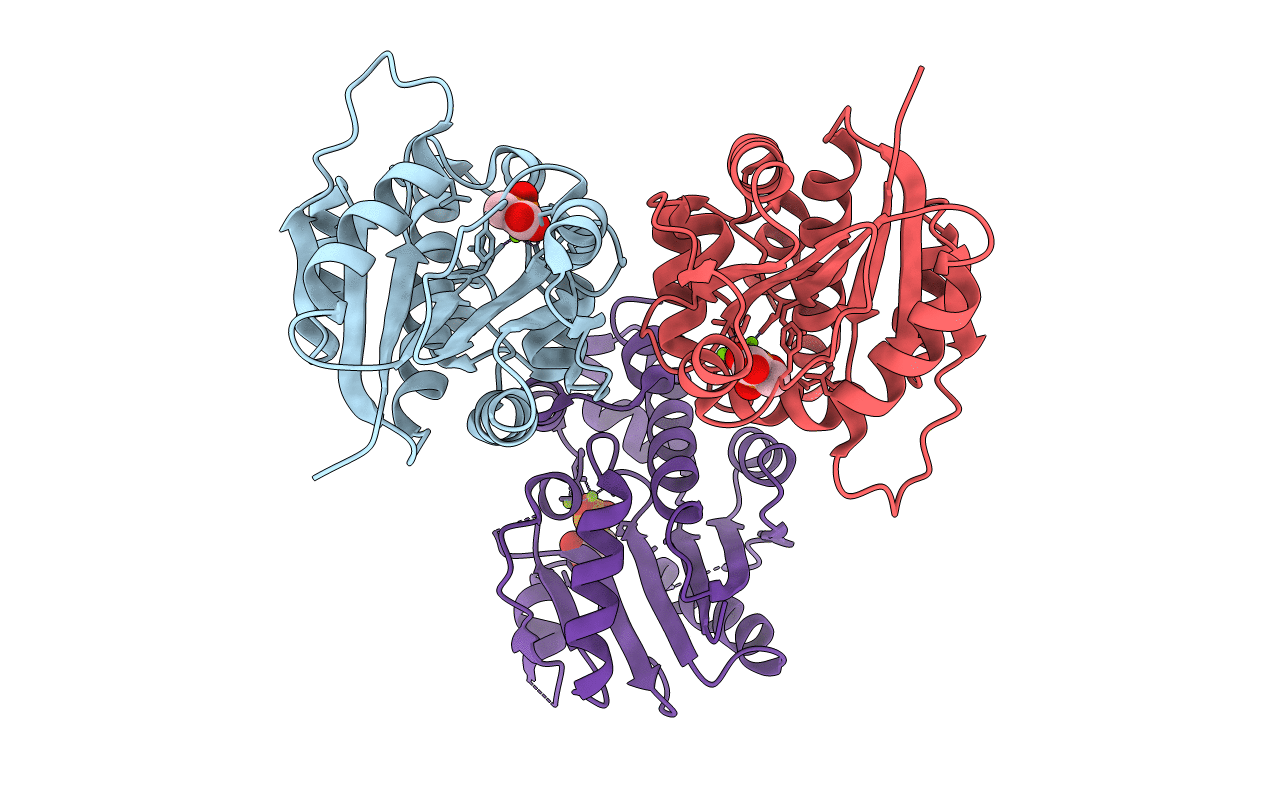 6BWH image