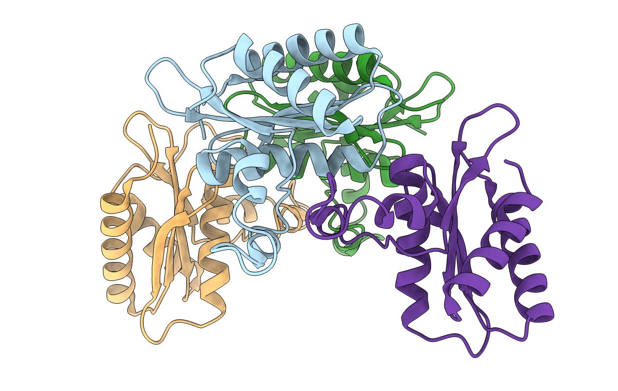 6BWS image