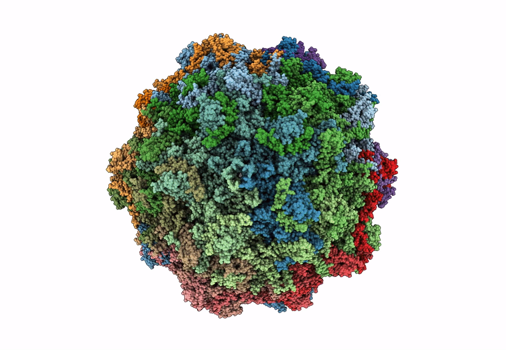 6BX1 image