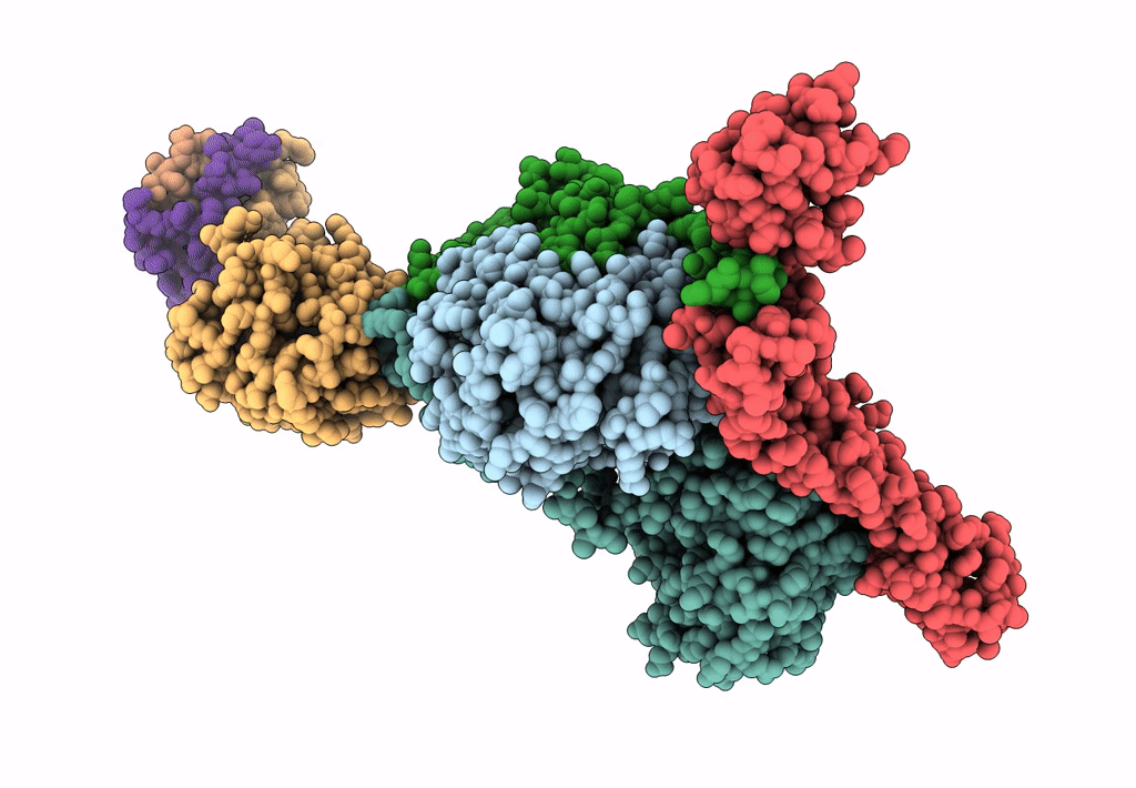 6BX3 image