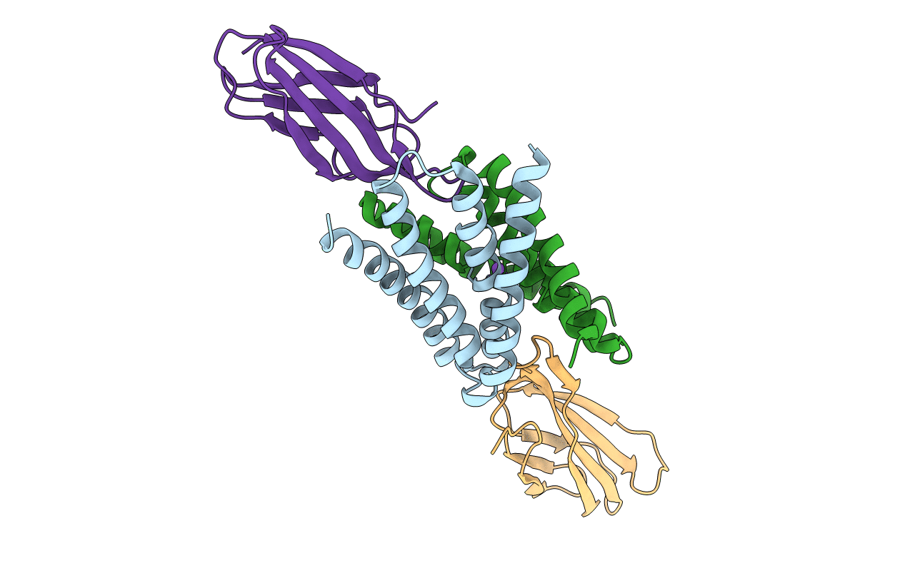 6BX5 image