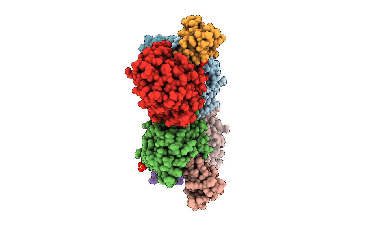 6BX8 image