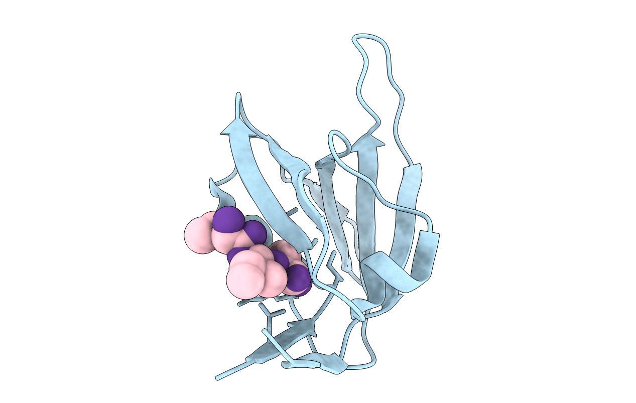 6BXG image