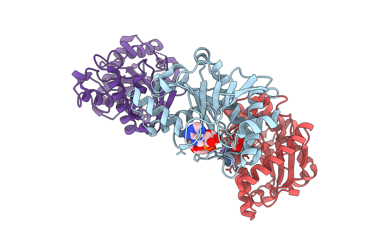 6BXT image