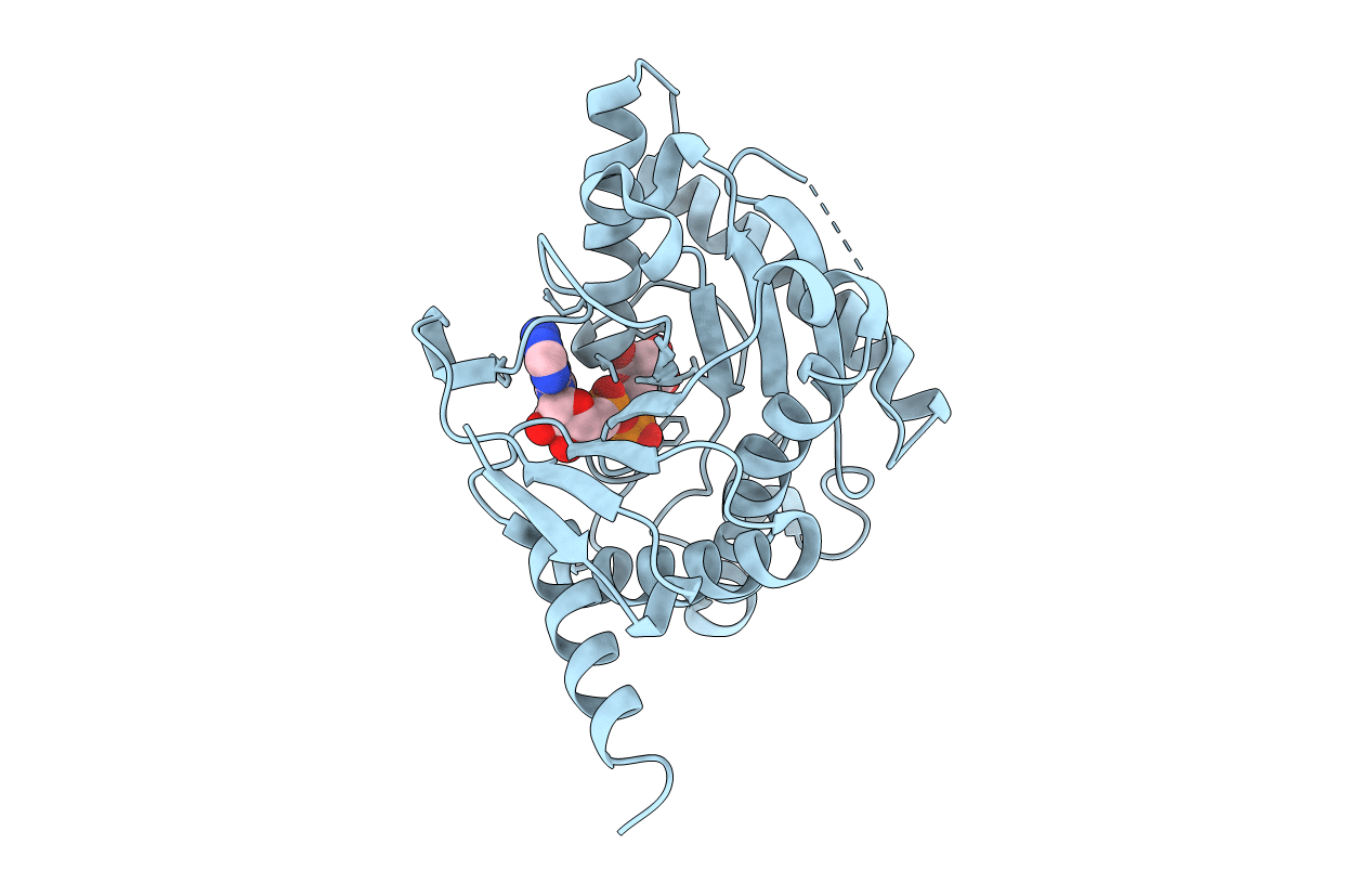 6BXW image