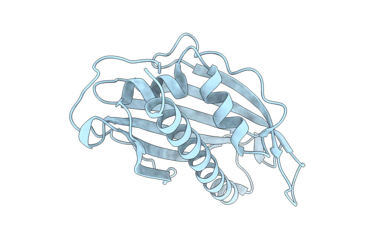 6BYD image