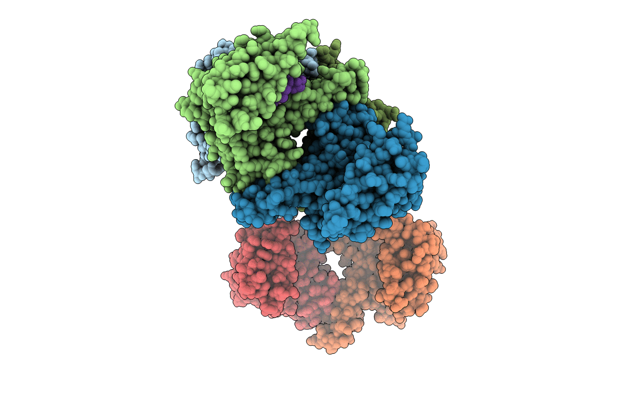 6BYL image