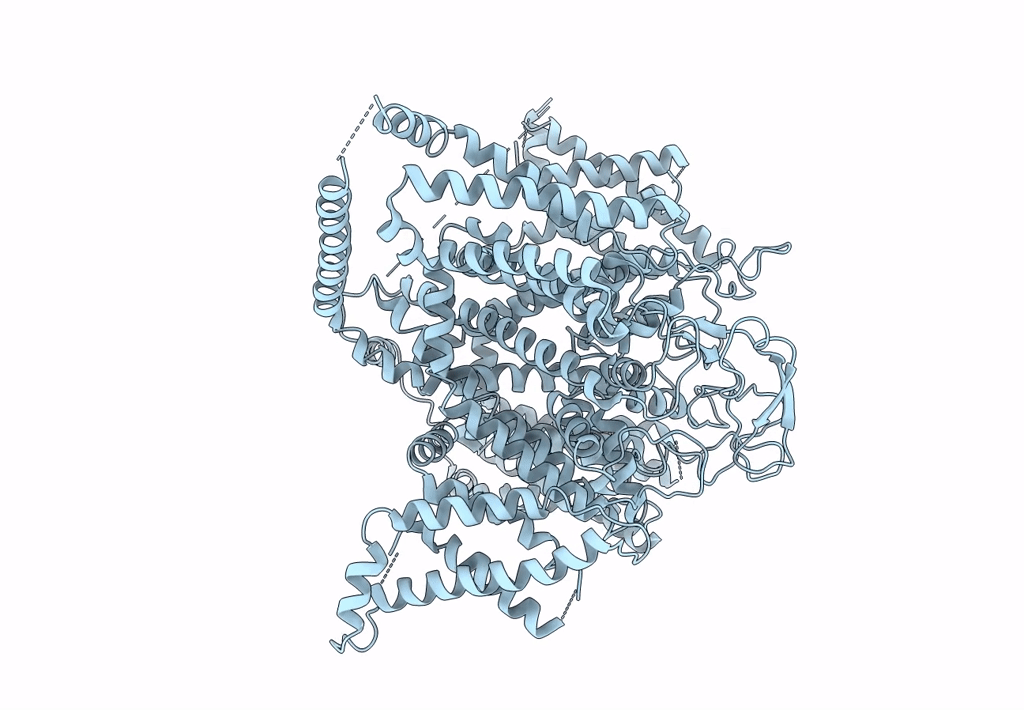 6BYO image
