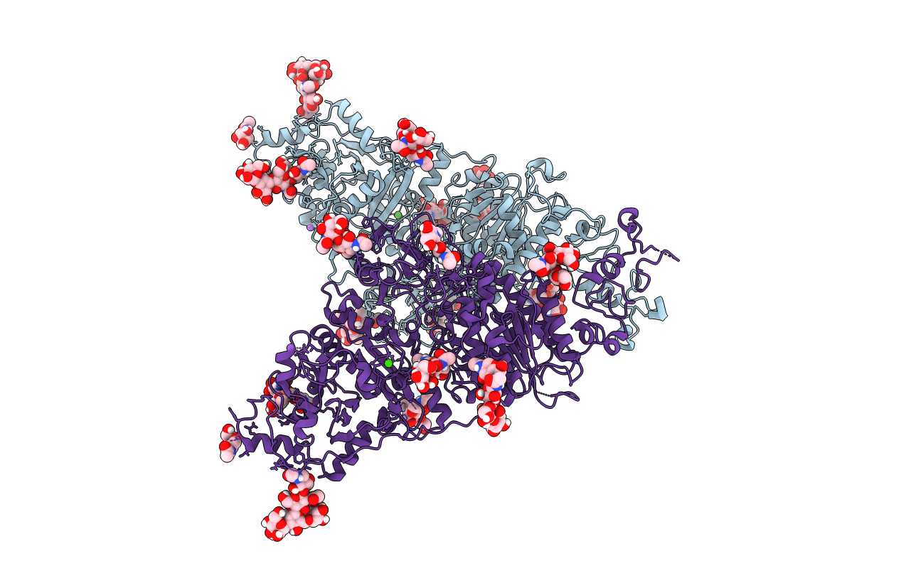 6C01 image