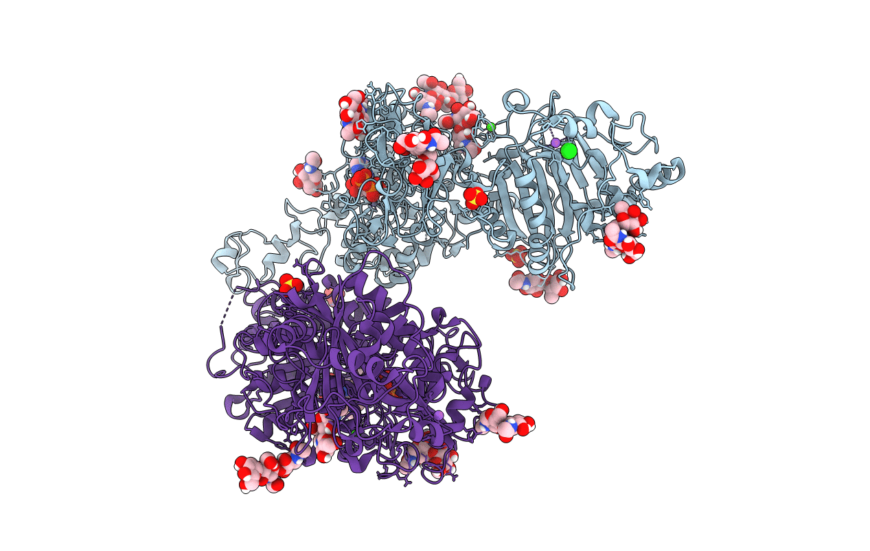 6C02 image