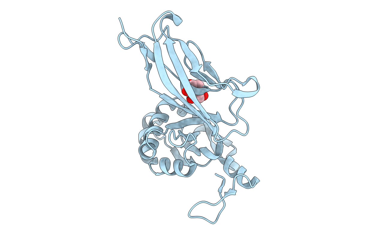6C10 image
