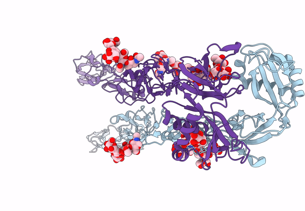 6C13 image