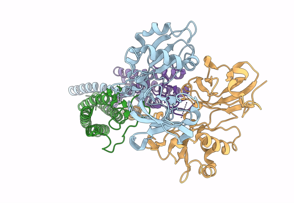 6C14 image