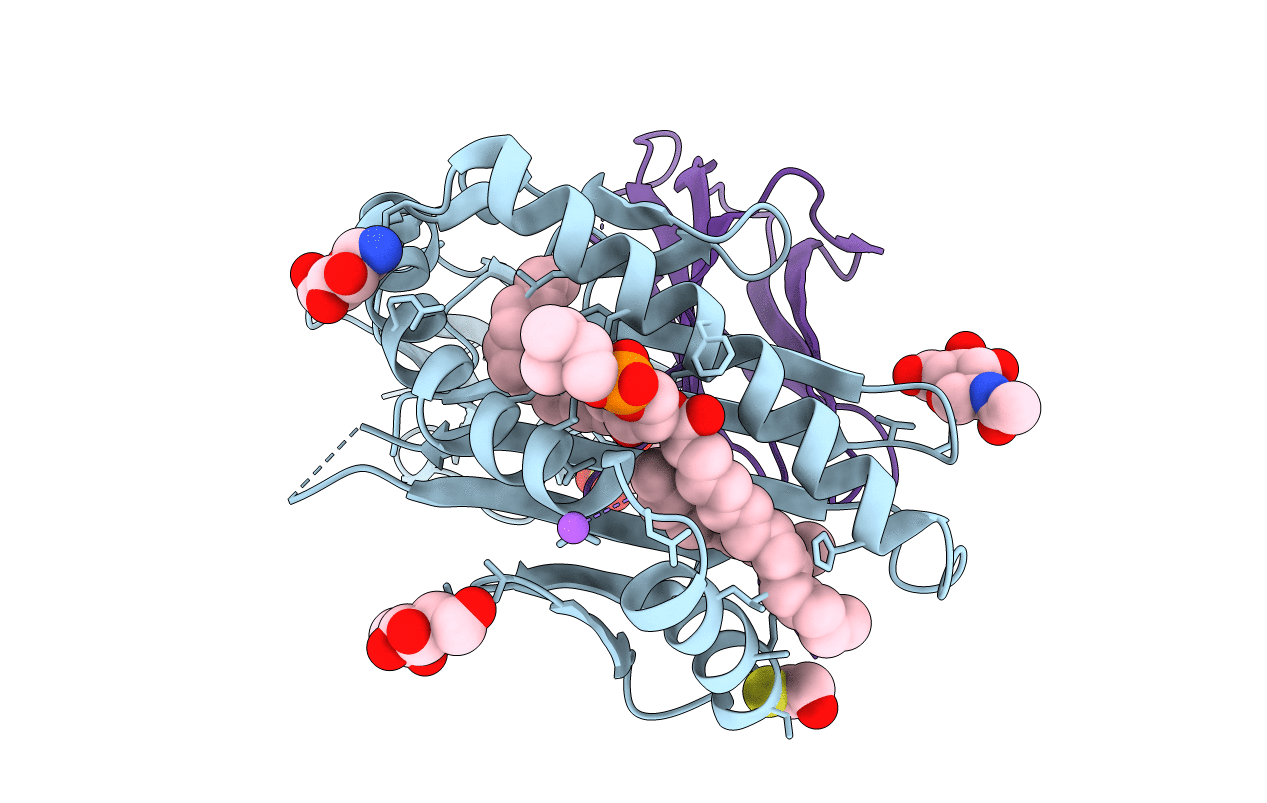 6C15 image