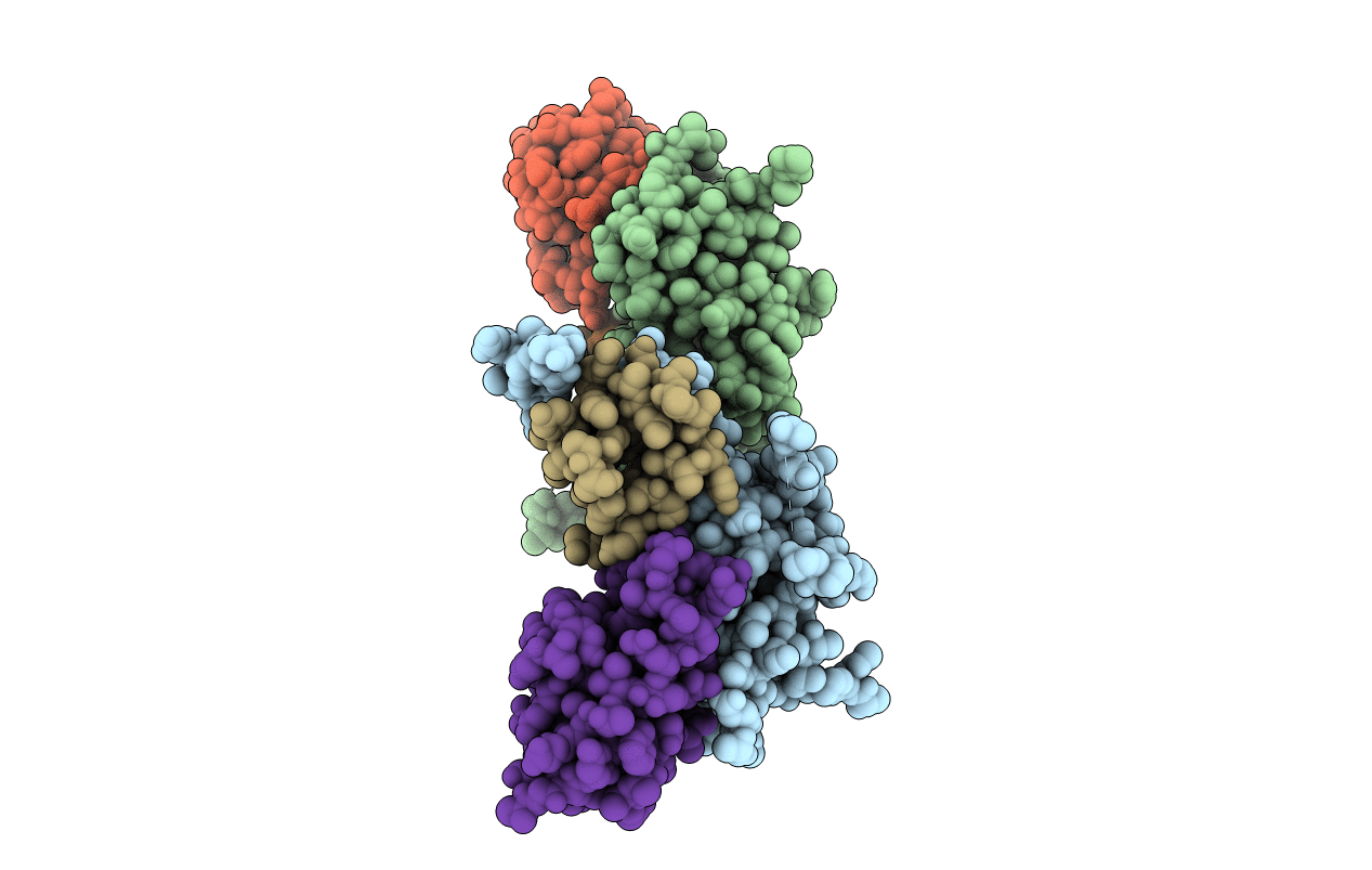 6C16 image