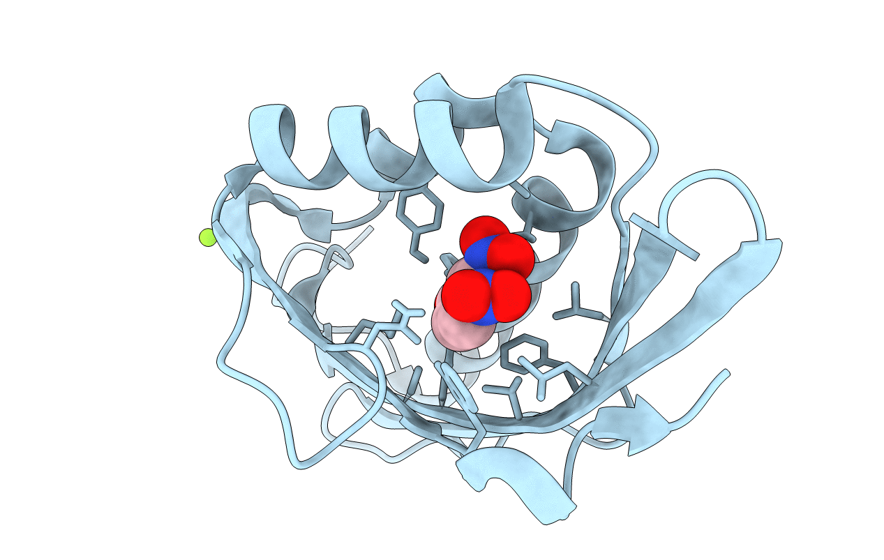 6C17 image