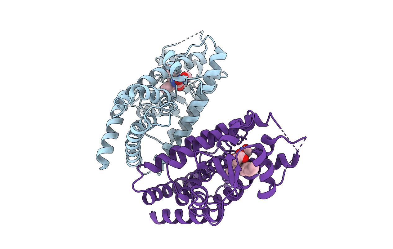 6C1I image