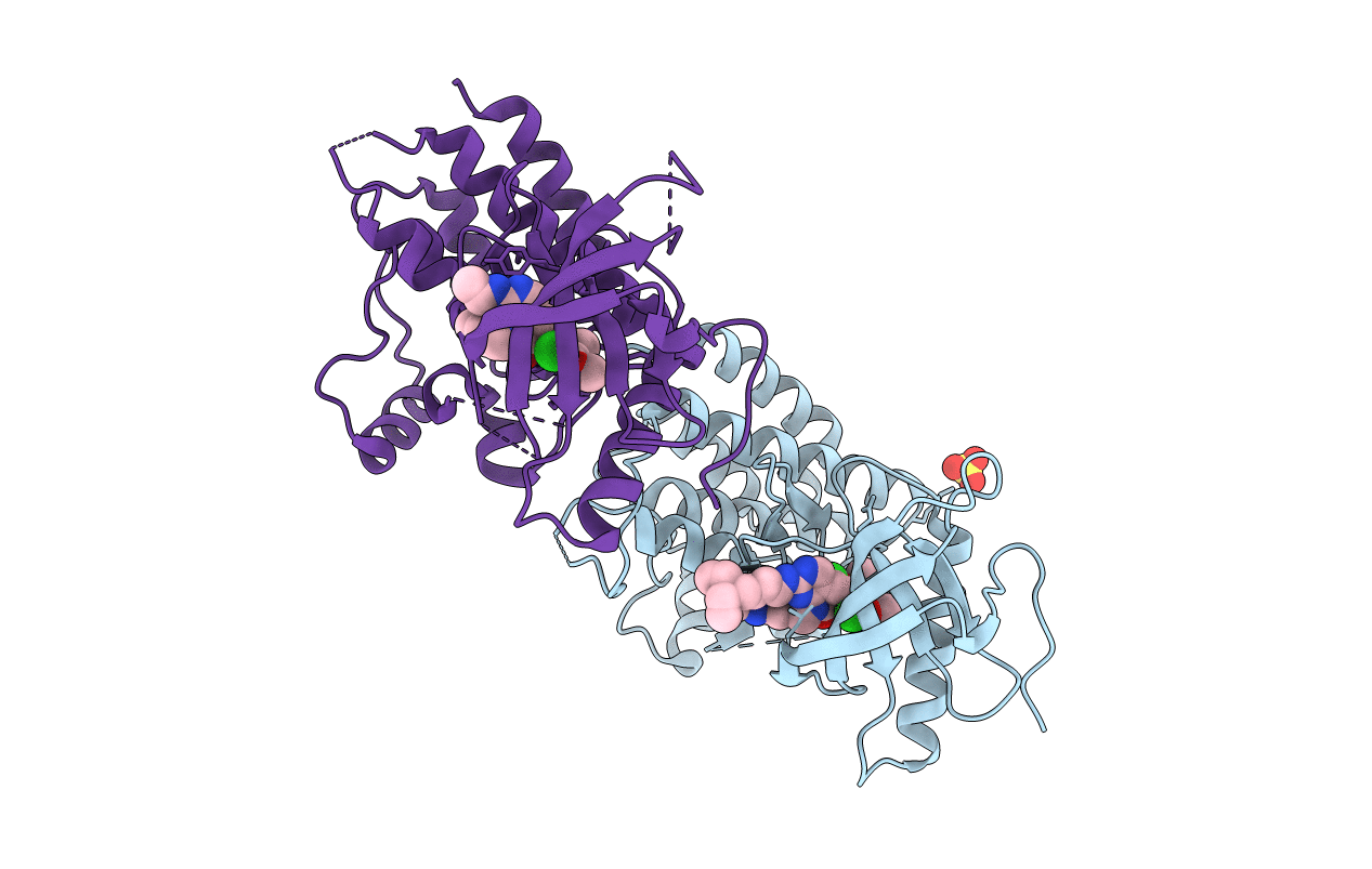6C1O image