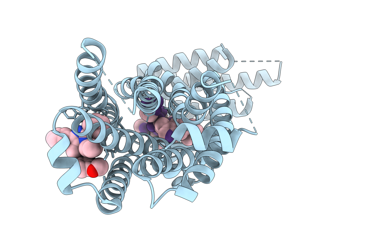 6C1Q image