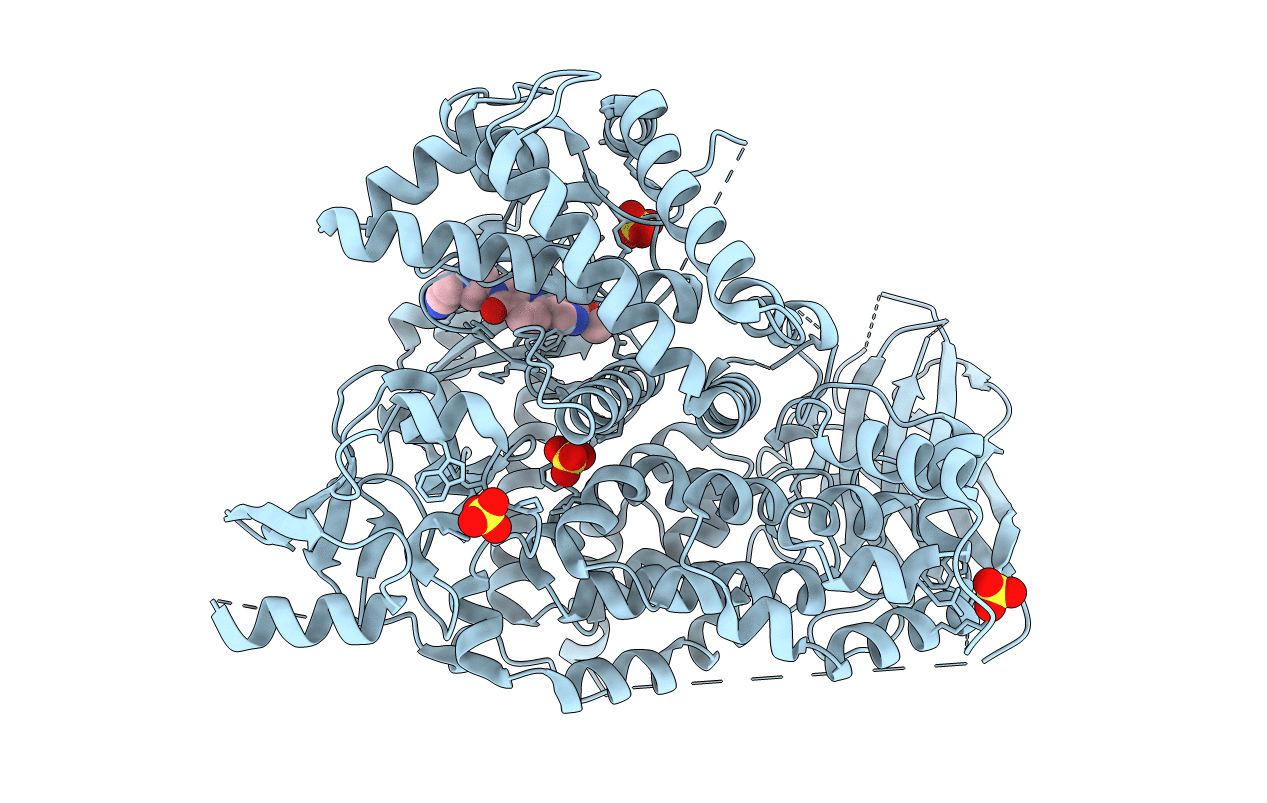 6C1S image