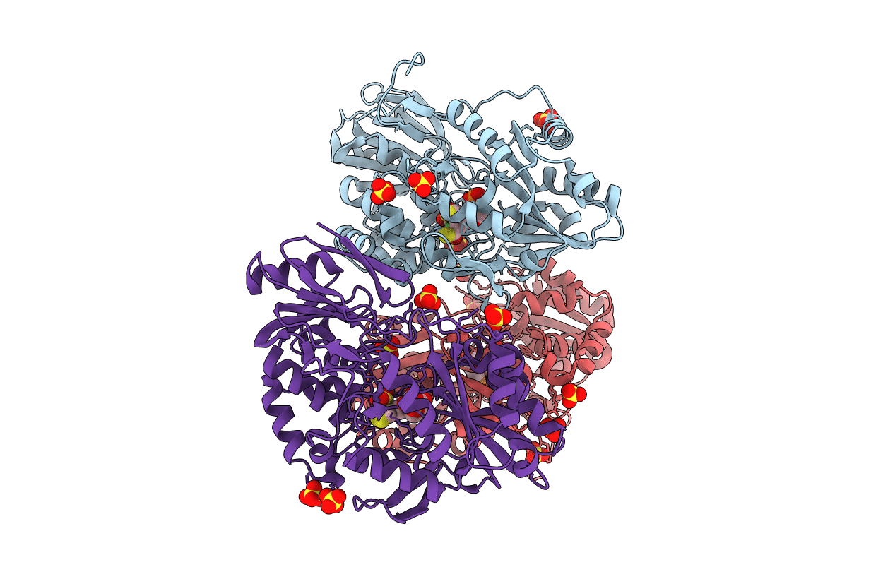 6C1W image