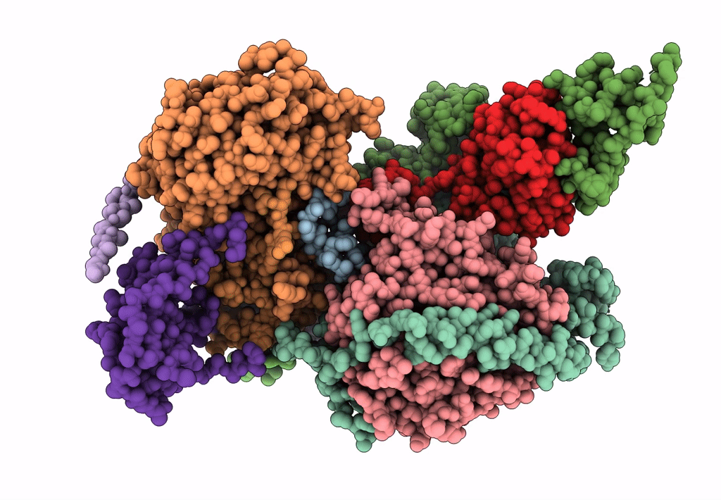 6C23 image