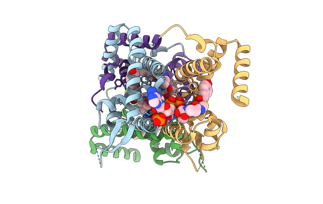 6C28 image