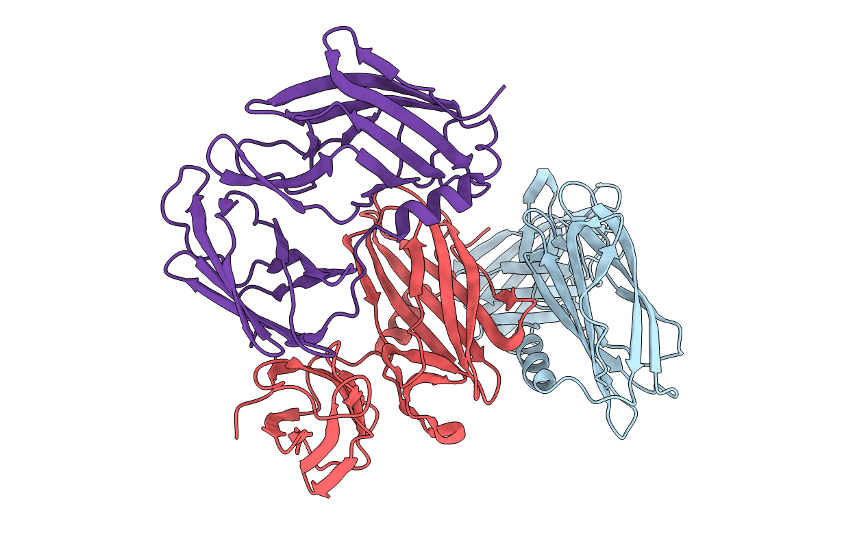 6C29 image