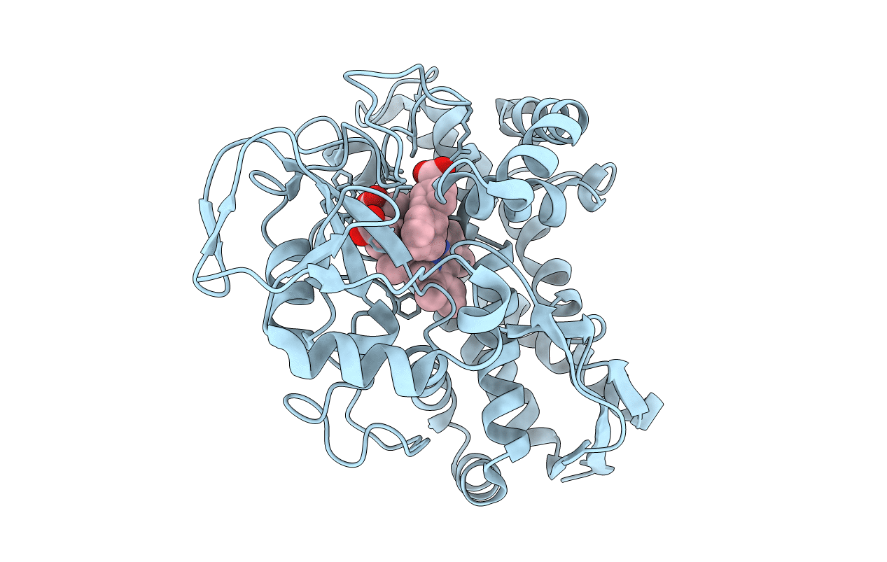 6C2D image