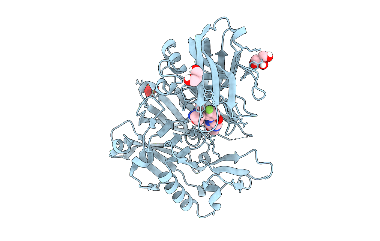 6C2I image
