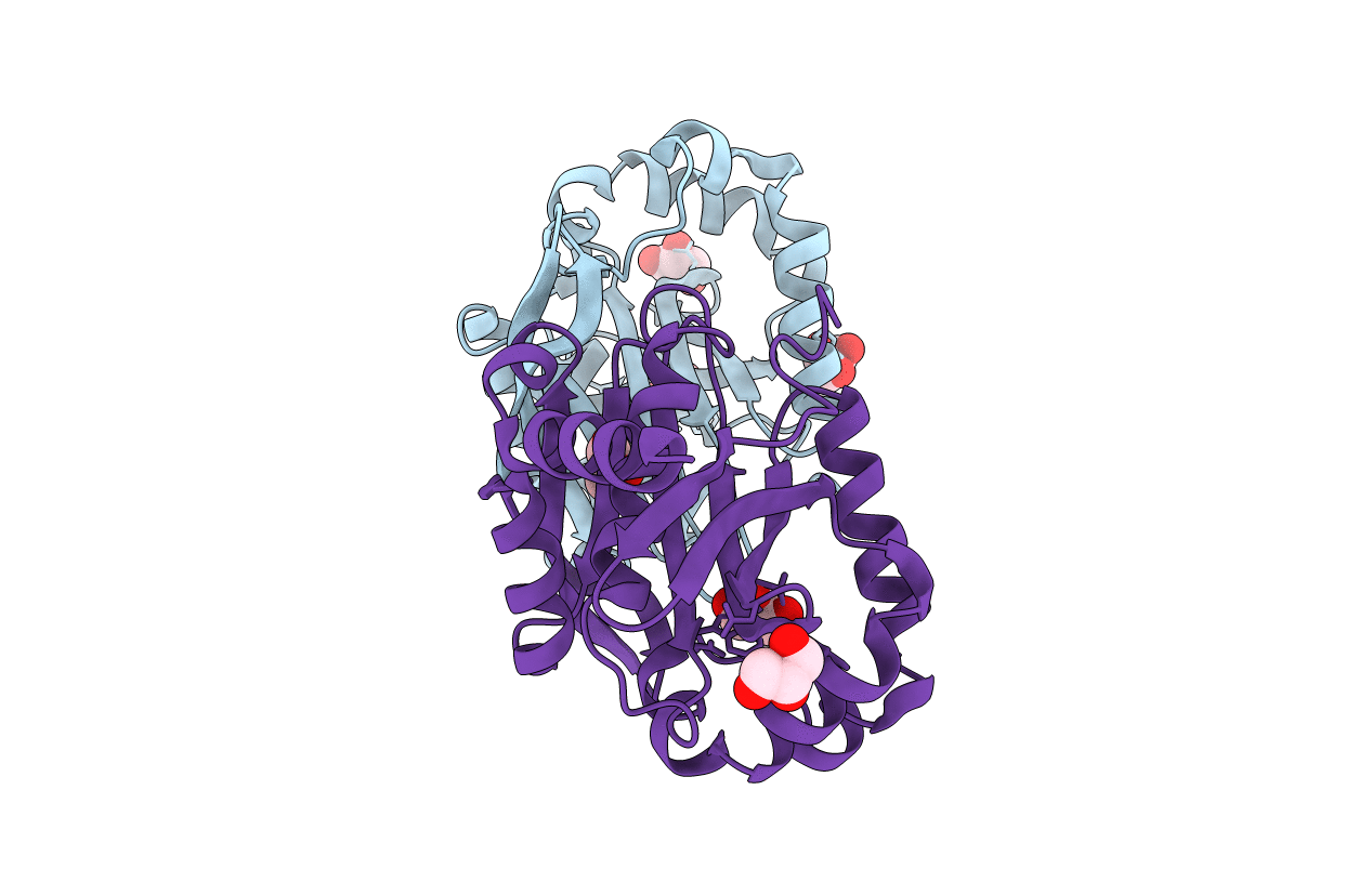 6C30 image