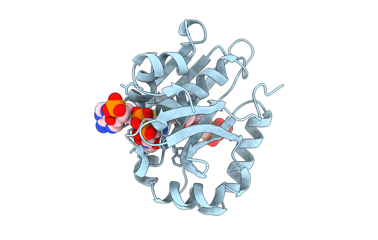 6C37 image