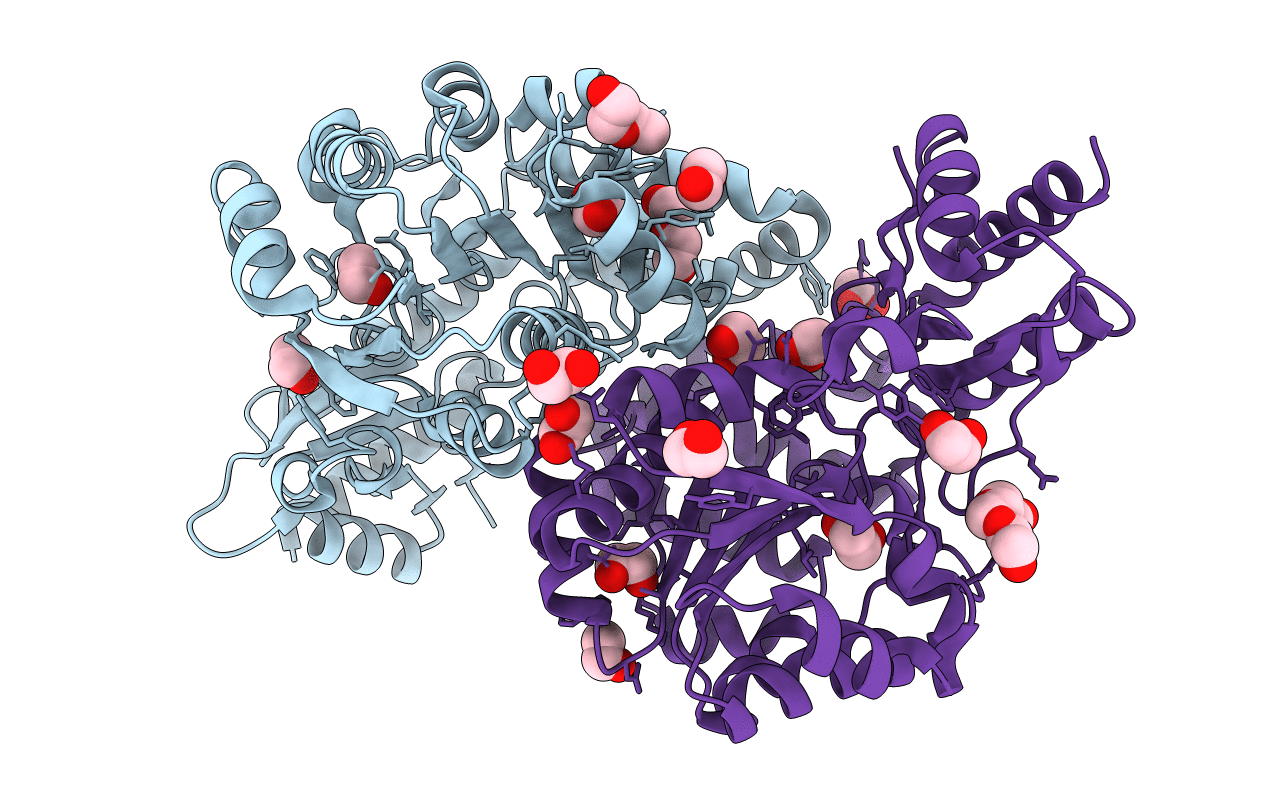6C3B image
