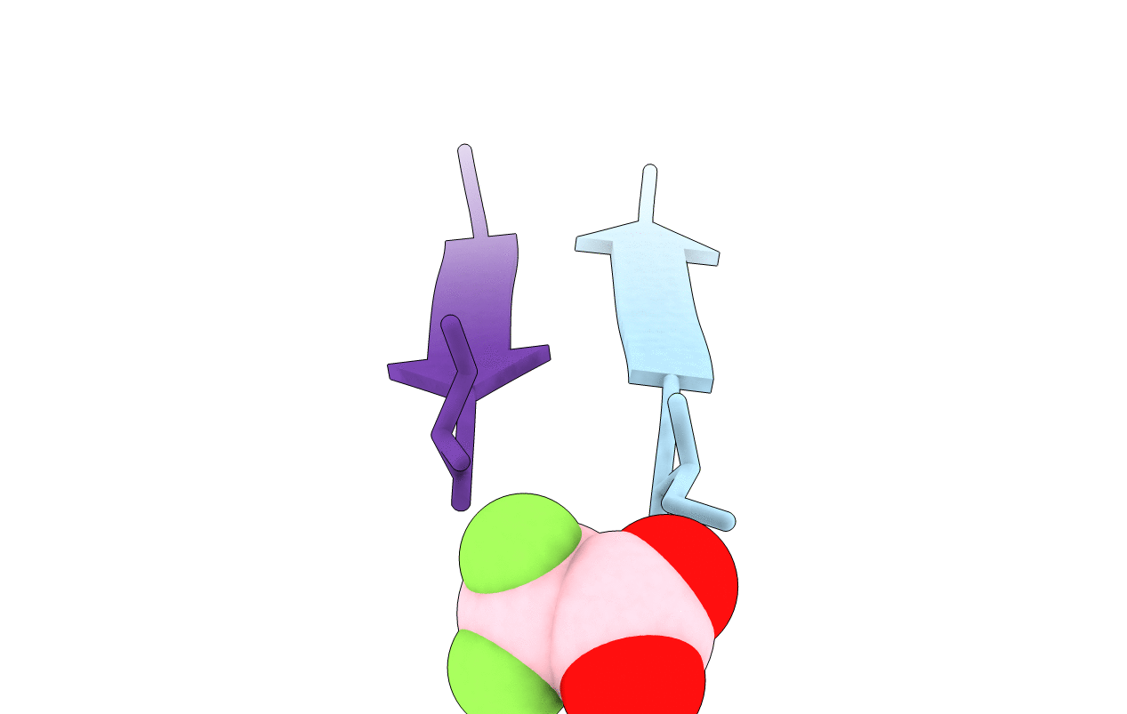 6C3F image