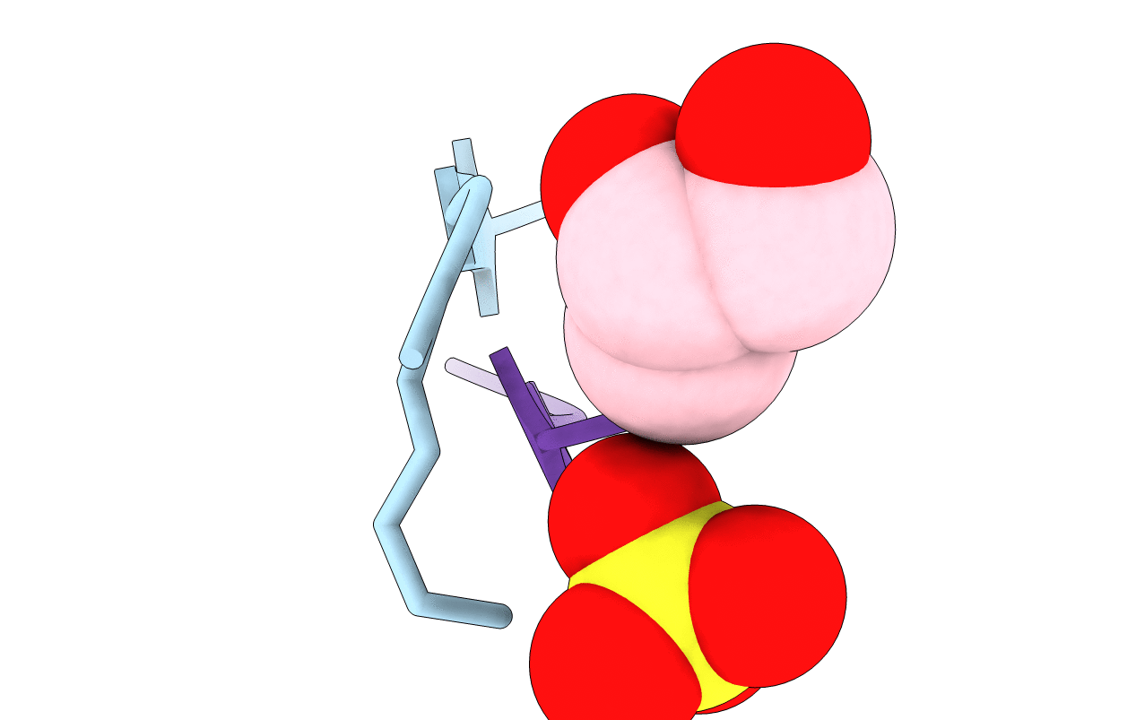 6C3G image