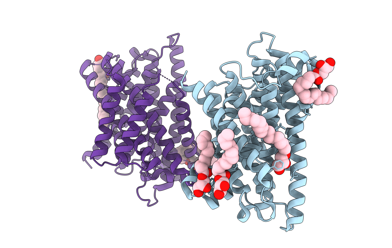 6C3I image