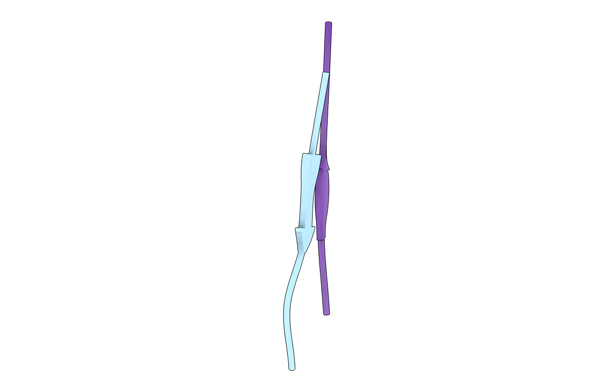 6C3T image