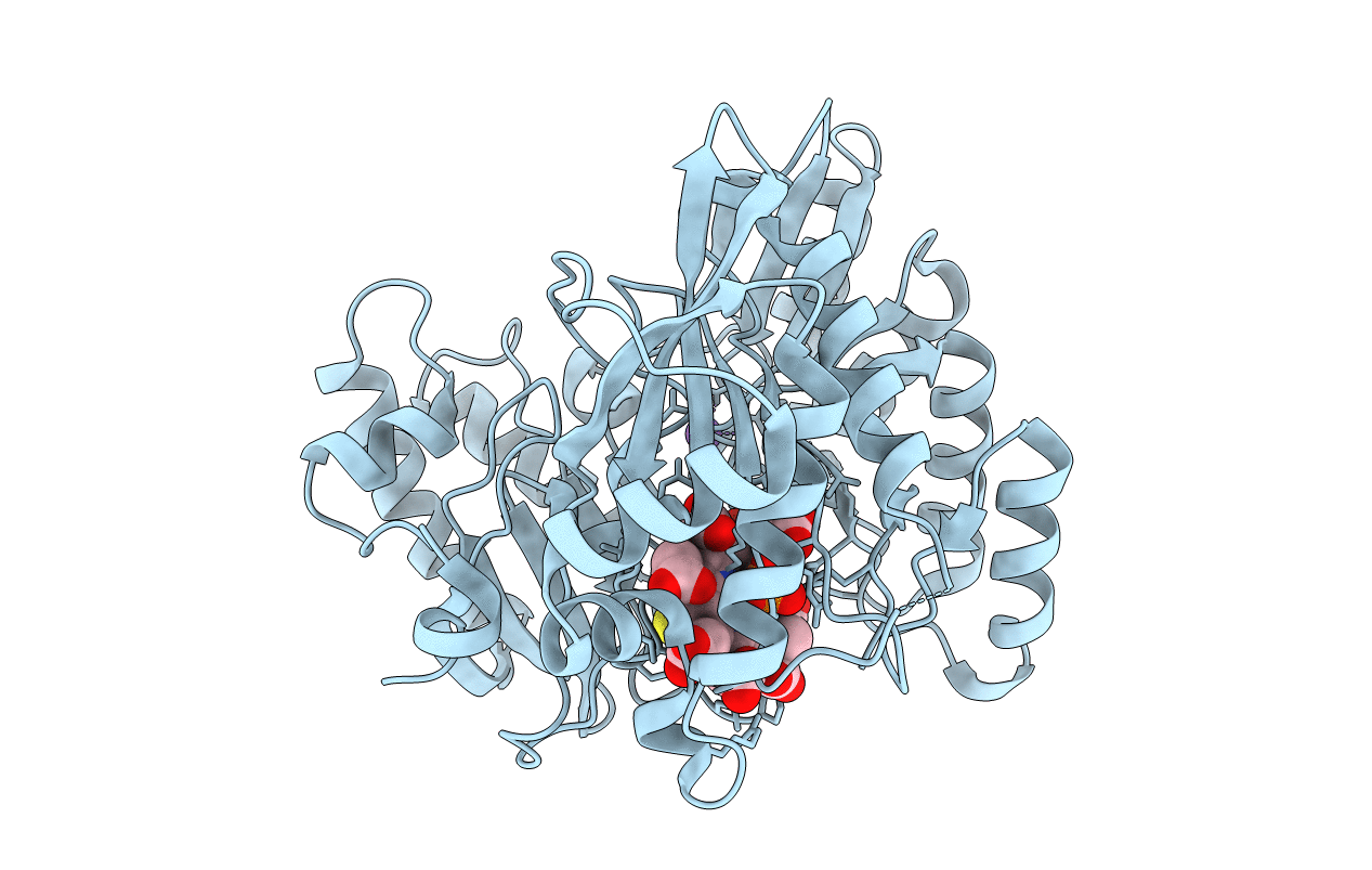 6C3Y image