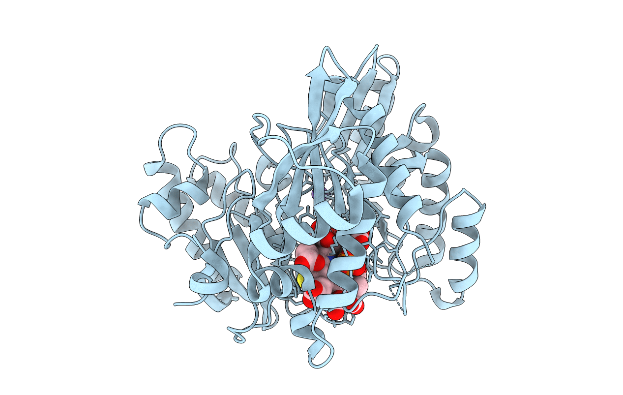 6C3Z image