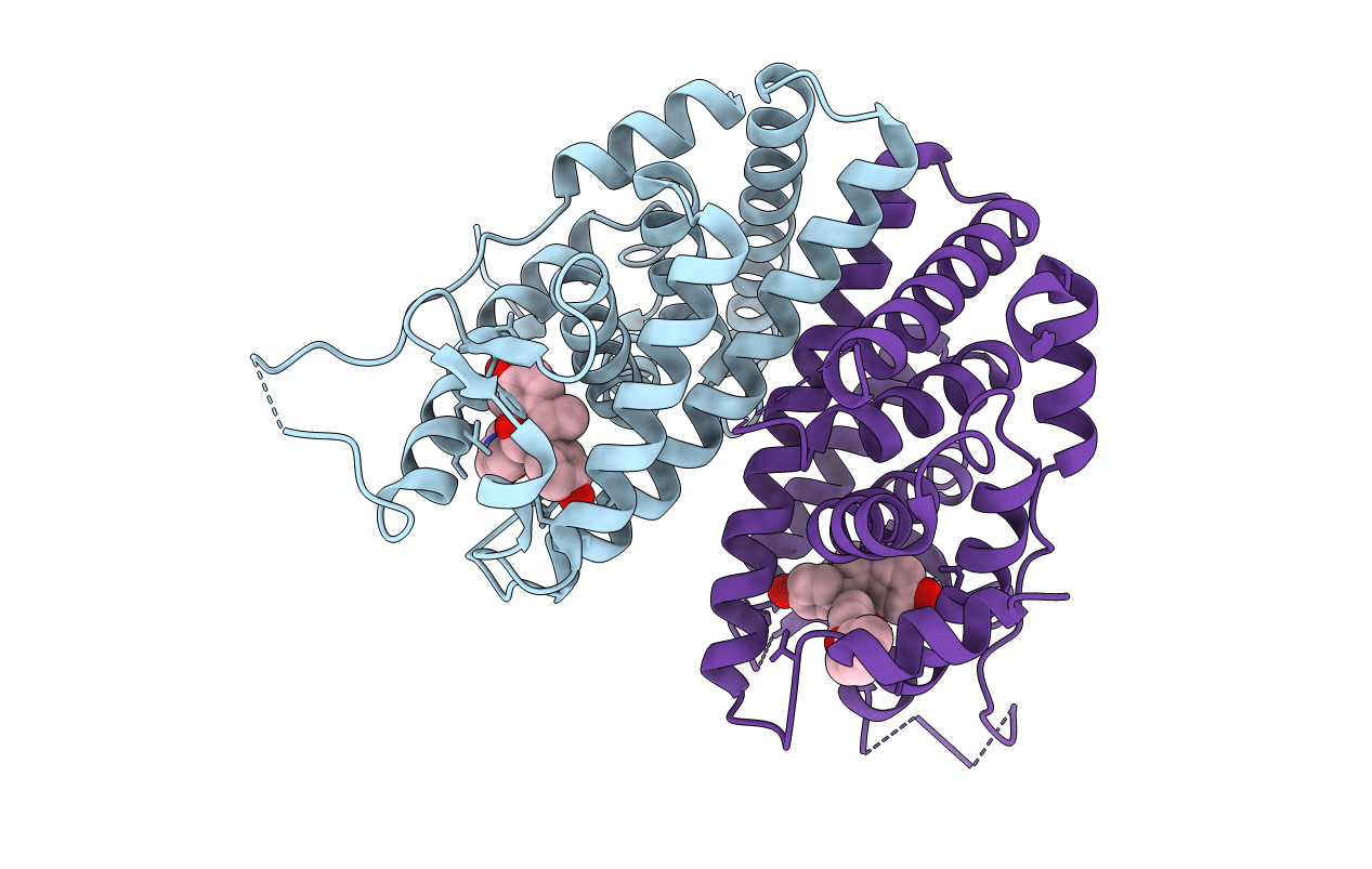 6C42 image