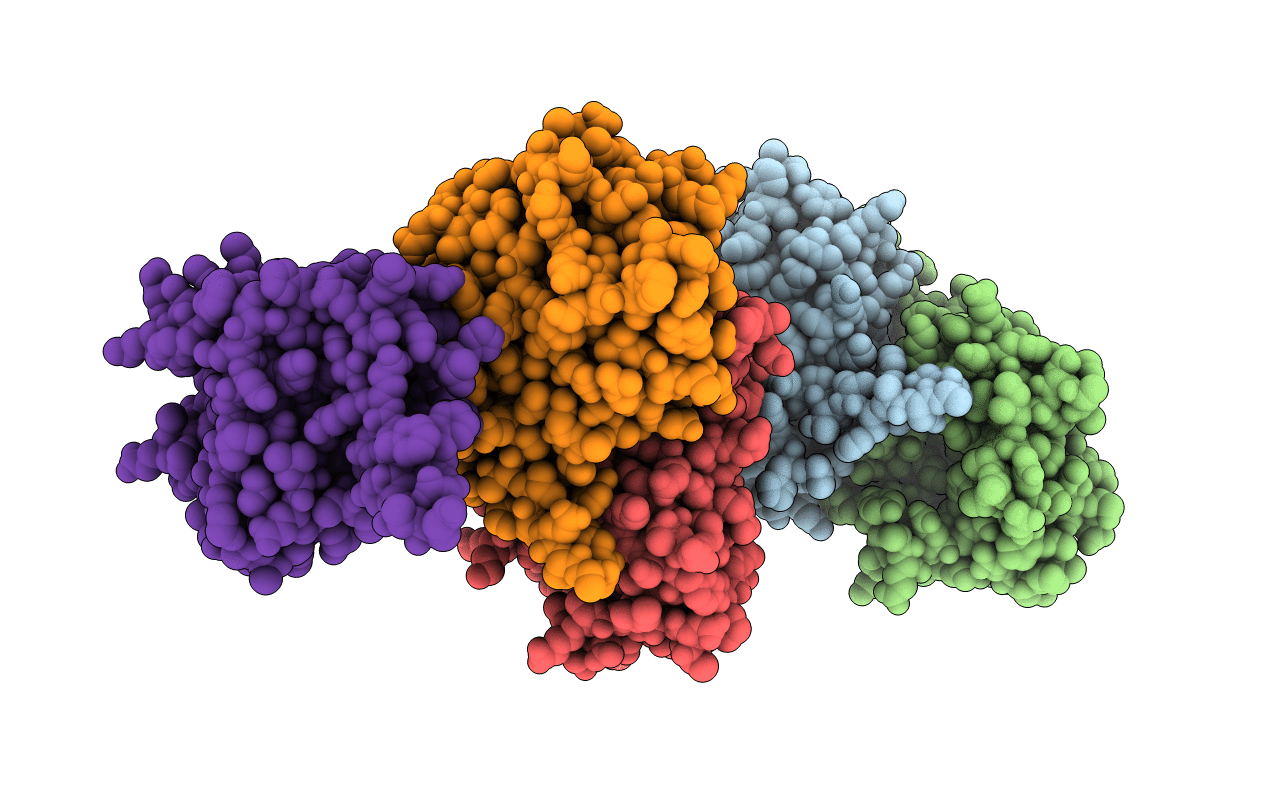 6C46 image