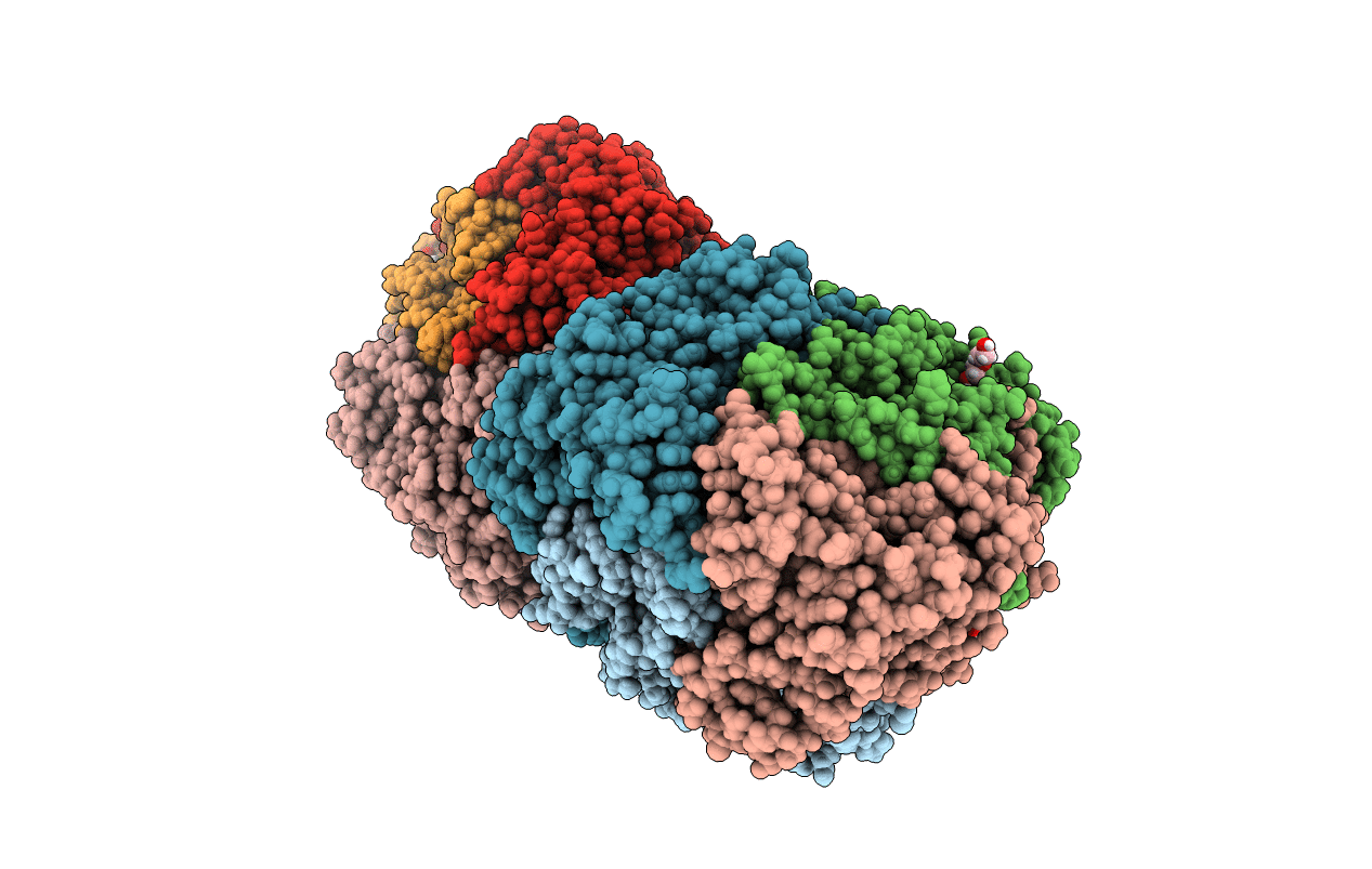 6C4A image