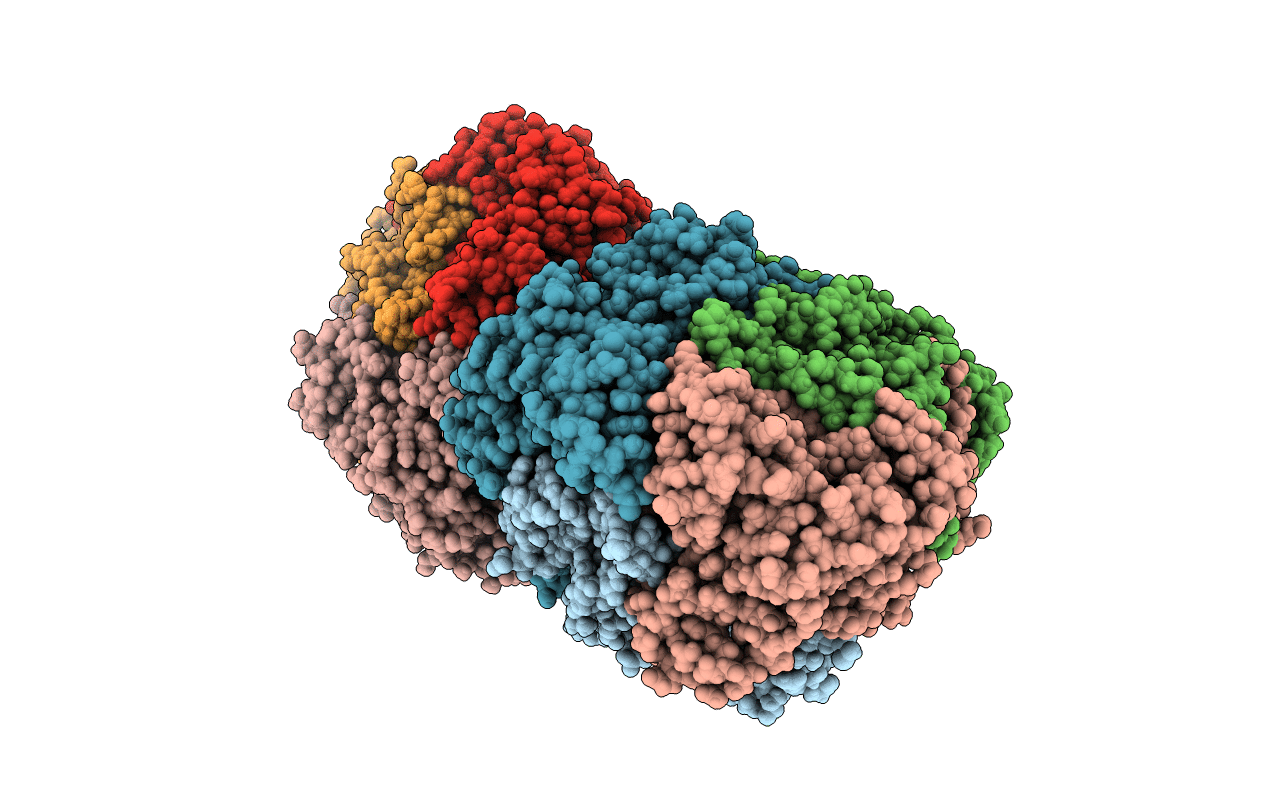 6C4C image